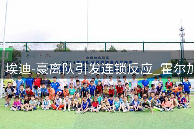 埃迪-豪离队引发连锁反应 霍尔加盟曼联可能性攀升